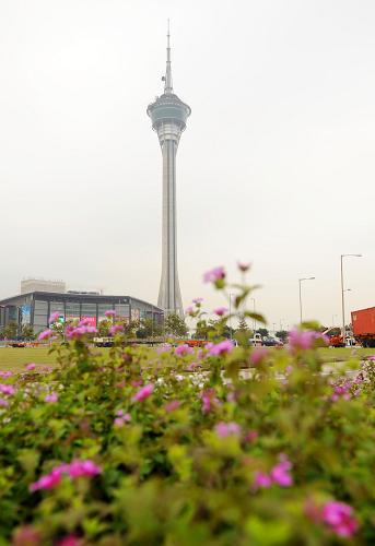 这是澳门旅游观光塔(12月16日摄)。新华社记者陈铎摄