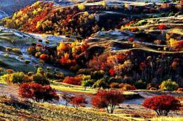 三北防护林内蒙古赤峰境内浑善达克沙地的秋色
